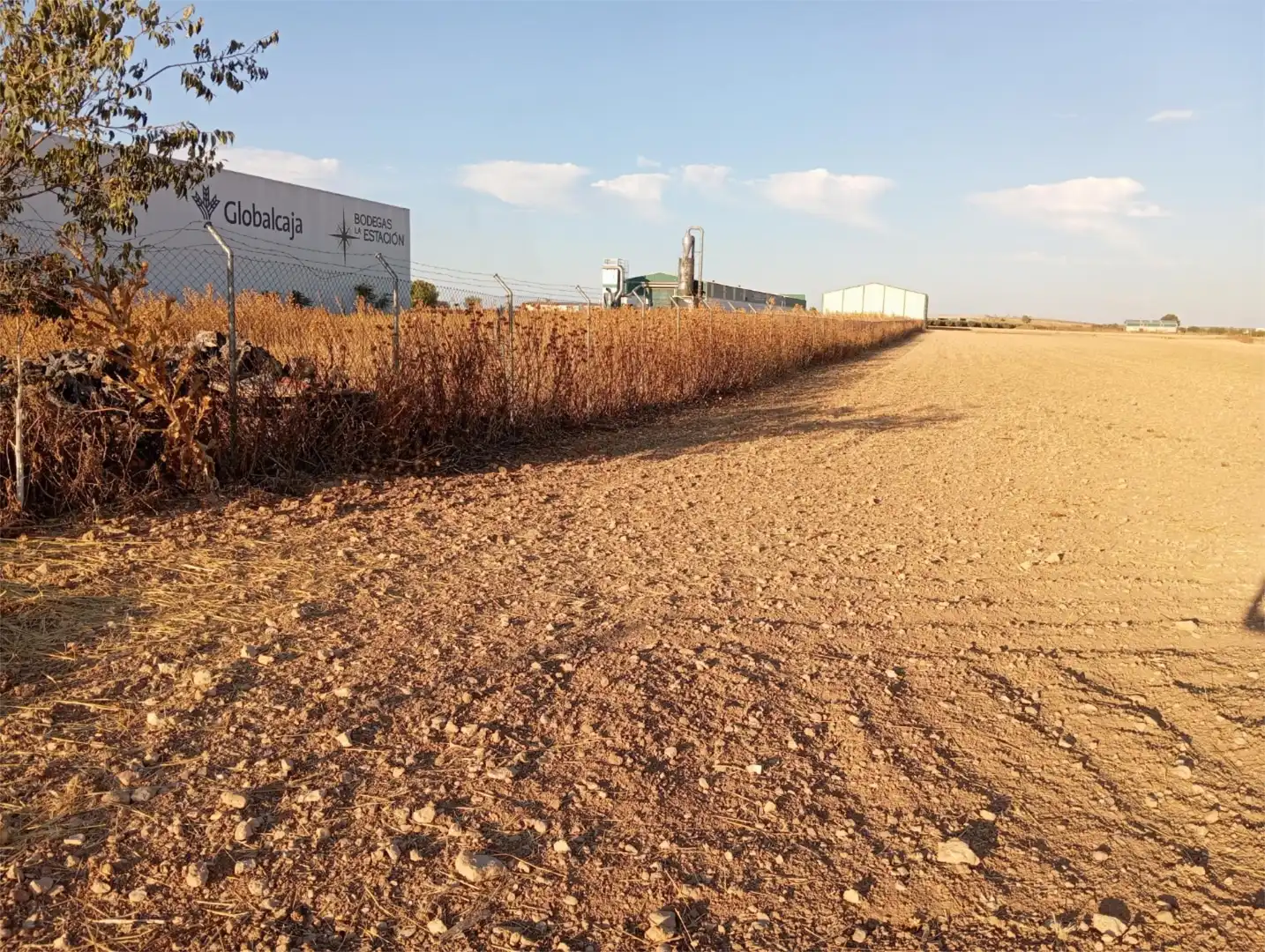 Terreny industrial en venda en Santa Cruz de la Zarza