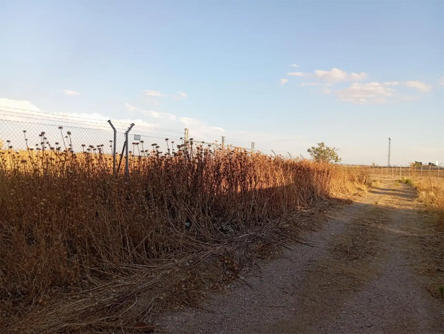 Terreny industrial en venda en Santa Cruz de la Zarza