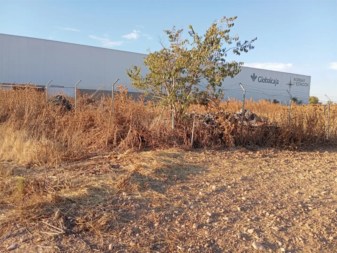 Terreny industrial en venda en Santa Cruz de la Zarza