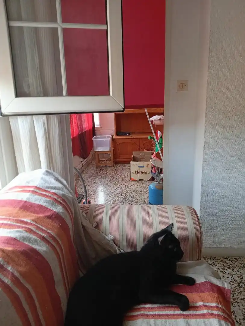 Pis de lloguer a Calle Lima, 52, Ciudad Jardín - Tagarete - El Zapillo Sala d'estar de Pis de lloguer en Almería amb Aire condicionat, Calefacció i Moblat