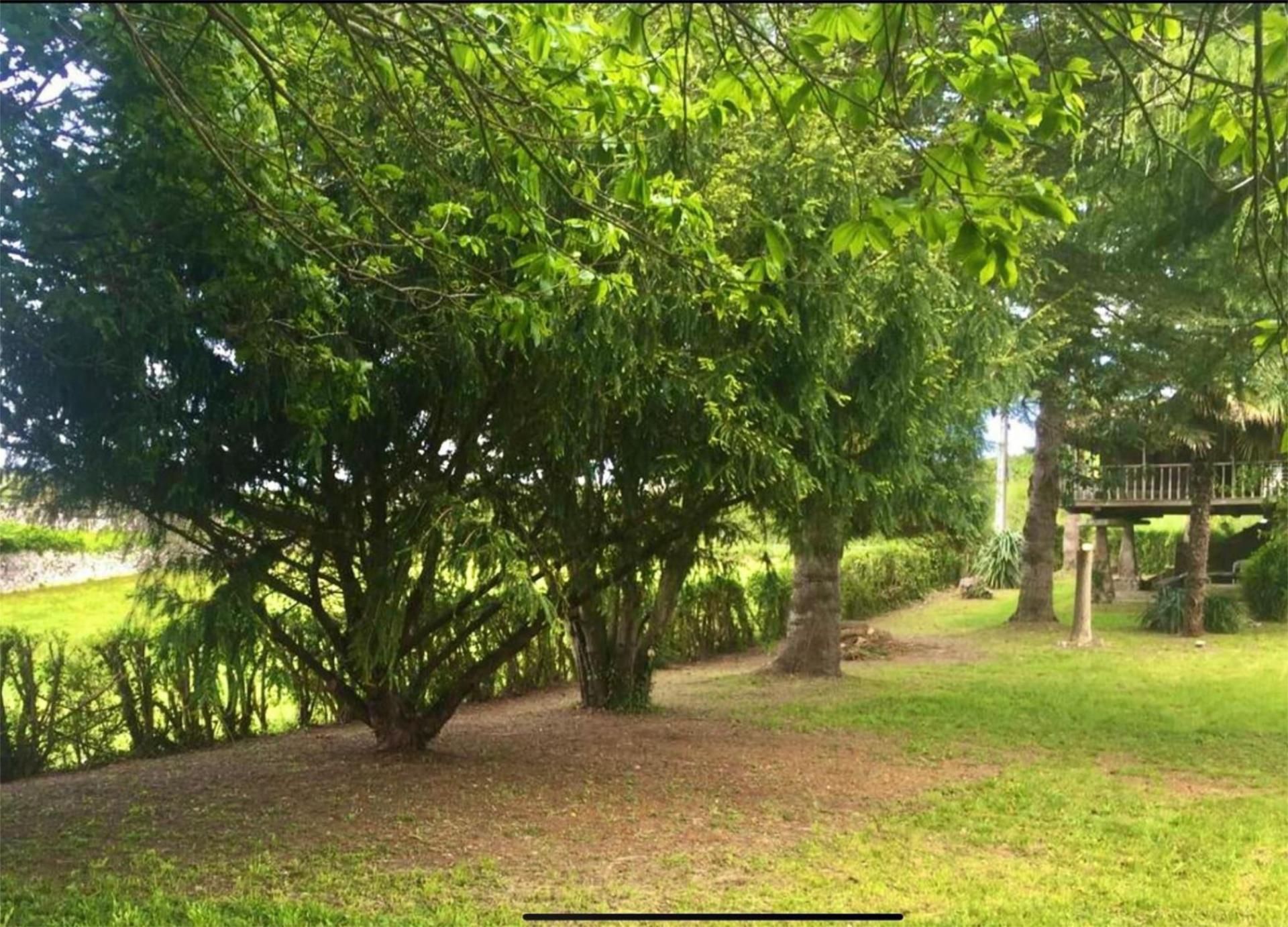 Jardín de Finca rústica en venta en Llanes con Terraza
