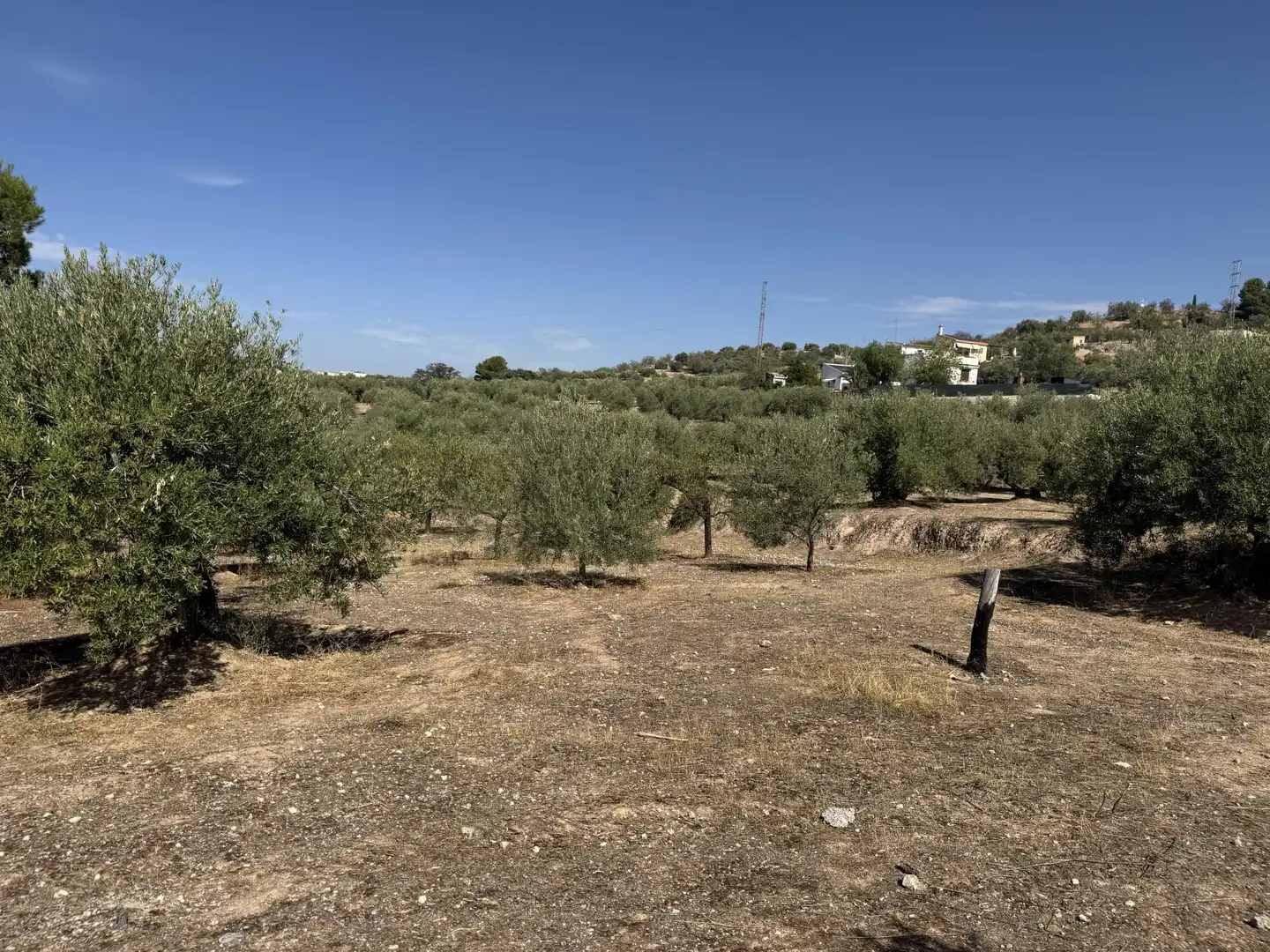 Country homes for sale in Prolongación Cañada del Tovar, 34, Peligros Country homes for sale in Peligros