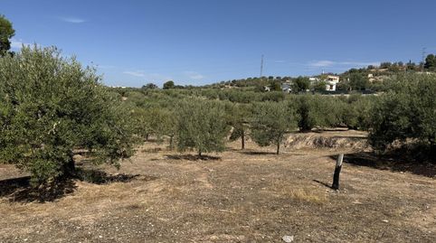 Foto 3 de Finca rústica en venta en Prolongación Cañada del Tovar, 34, Peligros, Granada