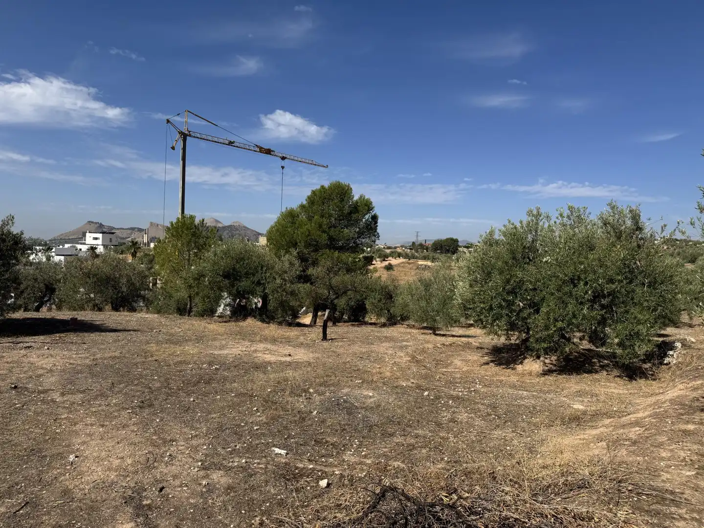 Country homes for sale in Prolongación Cañada del Tovar, 34, Peligros Country homes for sale in Peligros