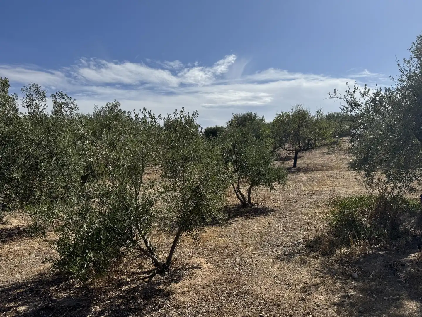 Country homes for sale in Prolongación Cañada del Tovar, 34, Peligros Country homes for sale in Peligros