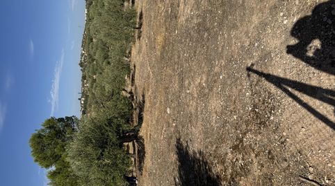 Foto 5 de Finca rústica en venta en Prolongación Cañada del Tovar, 34, Peligros, Granada