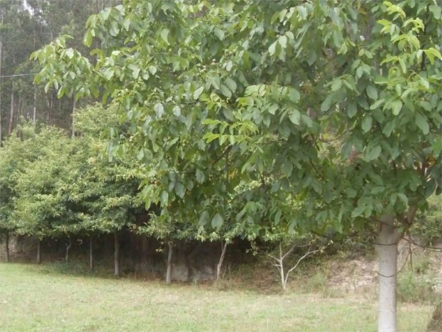 Wohnung zum Verkauf in LU-162, 10, O Valadouro Wohnung zum Verkauf in O Valadouro mit Heizung, Privatgarten und Balkon
