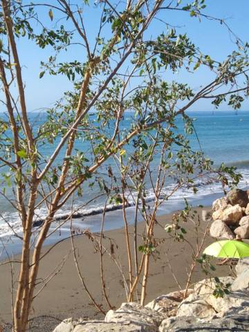 Casa adosada en Venta en Avenida Brisa del Mar, 1 en Chilches