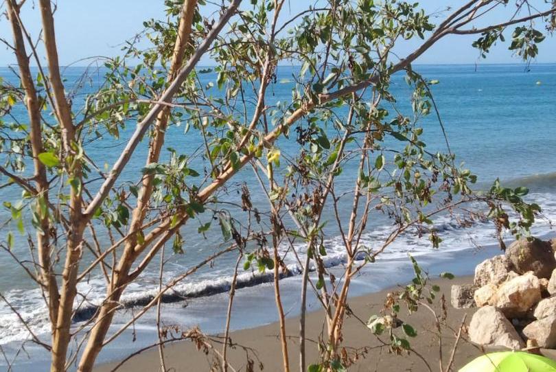 Foto 1 de Casa adosada en venda a Avenida Brisa del Mar, 1, Chilches, Málaga