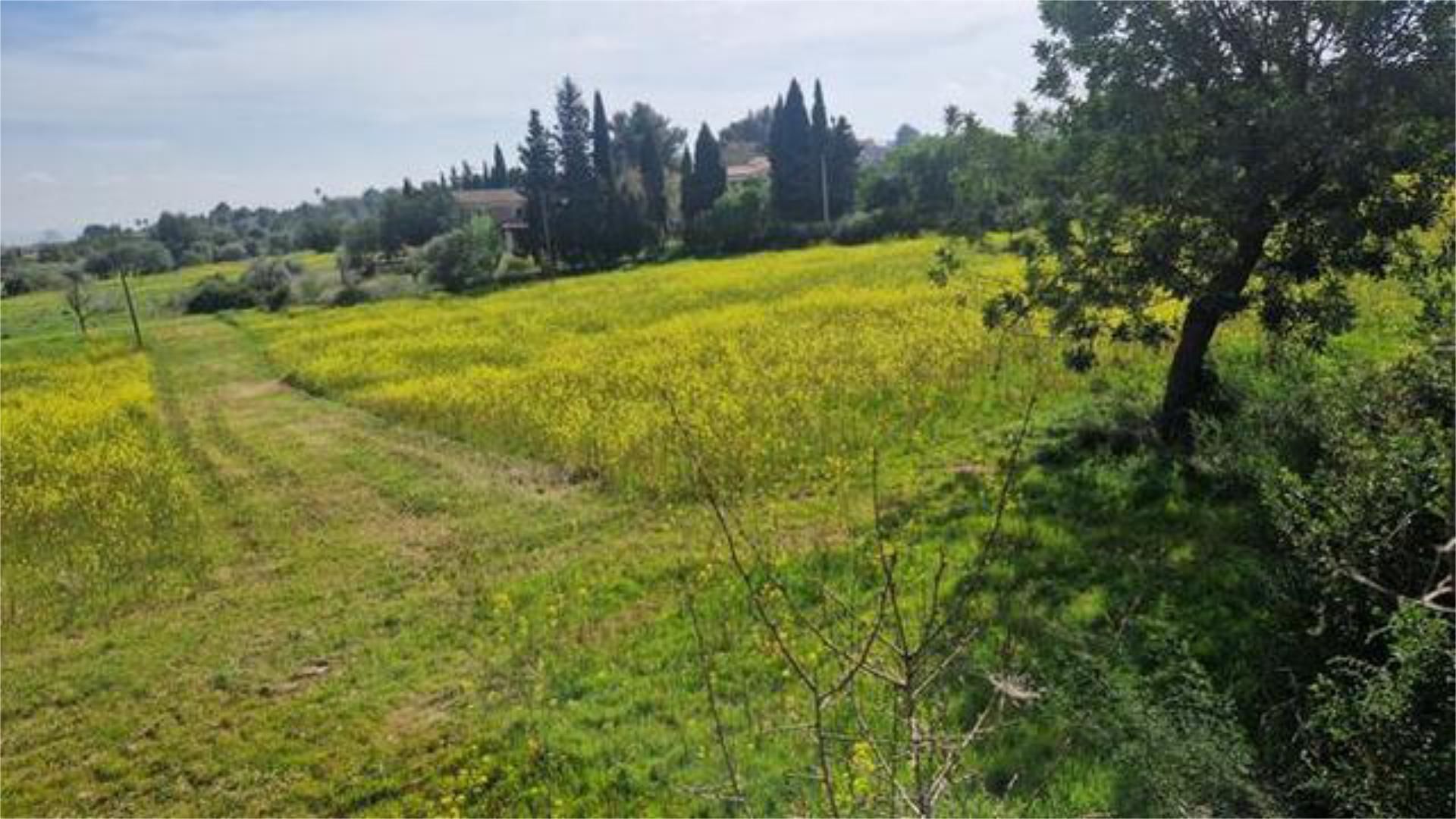Single-family semi-detached for sale in  Palma de Mallorca  with Private garden and Terrace