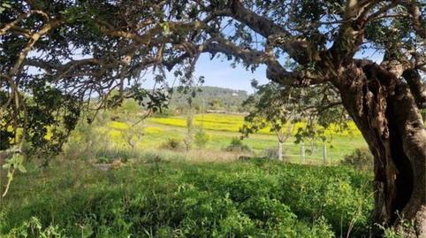 Single-family semi-detached for sale in Sant Nicolau, Illes Balears - image 2 Photo 2 of Single-family semi-detached for sale in Sant Nicolau, Illes Balears