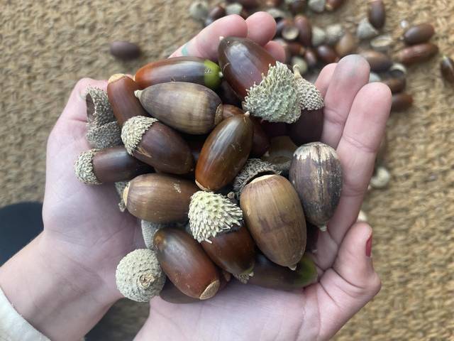 Finca rústica en Venta en Calle Egido, 38 en Higuera la Real