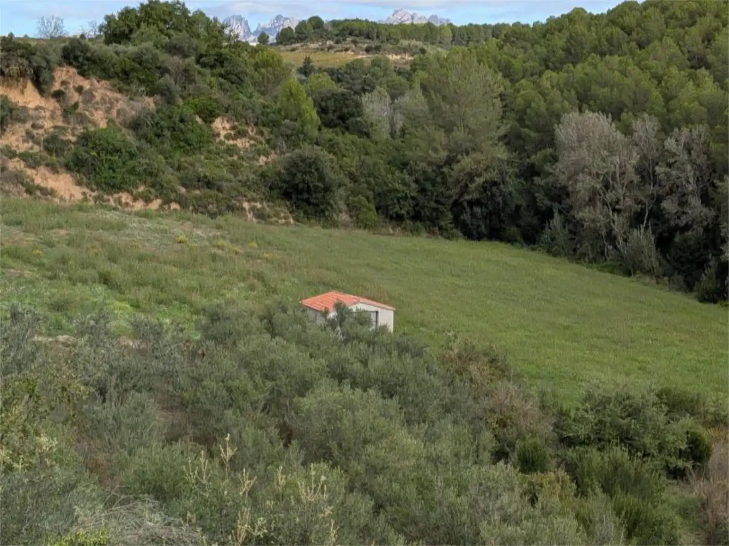 Finca rústica en venta en Carrer del Torrent Fondo, 15, Sant Llorenç d'Hortons Finca rústica en venta en Sant Llorenç d'Hortons