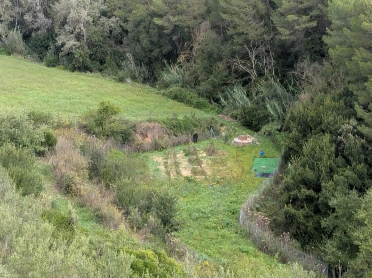 Finca rústica en venta en Carrer del Torrent Fondo, 15, Sant Llorenç d'Hortons Jardín de Finca rústica en venta en Sant Llorenç d'Hortons