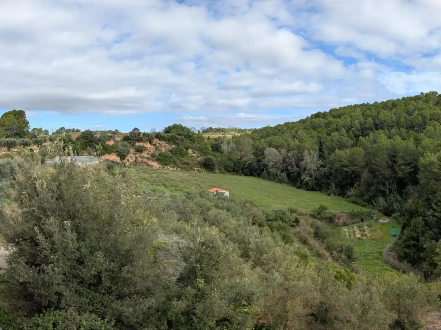 Finca rústica en venta en Carrer del Torrent Fondo, 15, Sant Llorenç d'Hortons Finca rústica en venta en Sant Llorenç d'Hortons