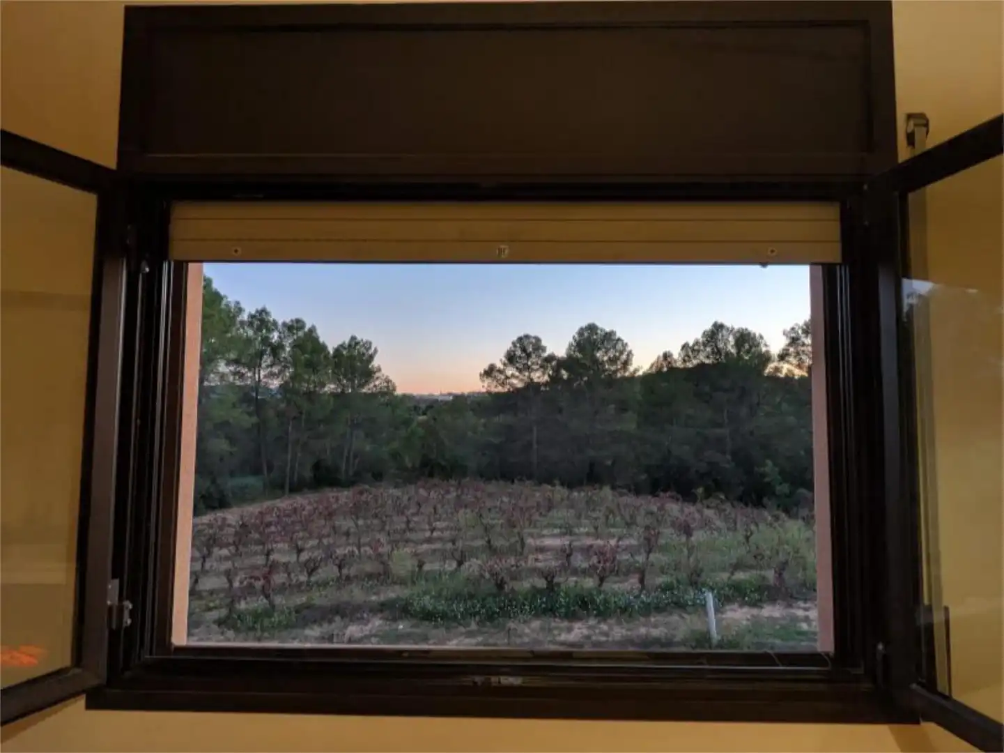 Finca rústica en venta en Carrer del Torrent Fondo, 15, Sant Llorenç d'Hortons Jardín de Finca rústica en venta en Sant Llorenç d'Hortons