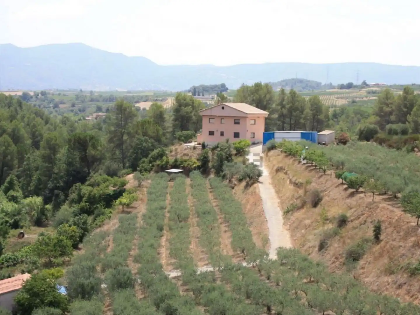 Finca rústica en venta en Carrer del Torrent Fondo, 15, Sant Llorenç d'Hortons Finca rústica en venta en Sant Llorenç d'Hortons
