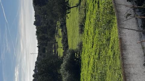 House or chalet to share in Diseminado Es Pujolet, 40, Sant Antoni de Portmany, Illes Balears - image 5 Photo 5 of House or chalet to share in Diseminado Es Pujolet, 40, Sant Antoni de Portmany, Illes Balears