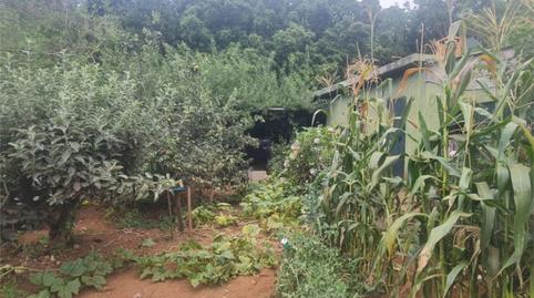 Foto 2 de Finca rústica en venda a Calle Lomo Piedras, 252, El Sauzal, Santa Cruz de Tenerife