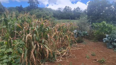 Foto 3 de Finca rústica en venda a Calle Lomo Piedras, 252, El Sauzal, Santa Cruz de Tenerife