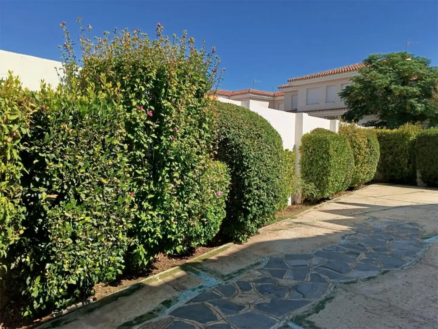 Piso en venta en Avenida de la Paz, 13, Motilleja Jardín de Piso en venta en Motilleja con Aire acondicionado, Calefacción y Jardín privado