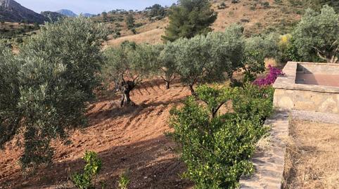 Finca rústica en venta en Calle Portugalete, 8, Ardales, Málaga - imagen 3 Foto 3 de Finca rústica en venta en Calle Portugalete, 8, Ardales, Málaga