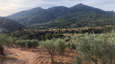 Finca rústica en venta en Calle Portugalete, 8, Ardales, Málaga - imagen 4 Foto 4 de Finca rústica en venta en Calle Portugalete, 8, Ardales, Málaga