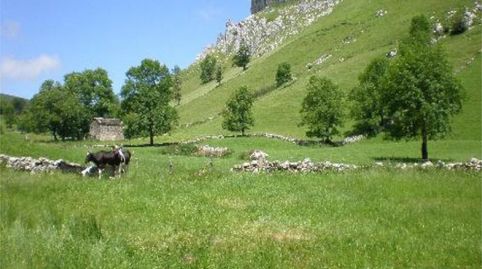 Photo 5 of Flat for sale in Barrio Noja, 1174, Miera, Cantabria