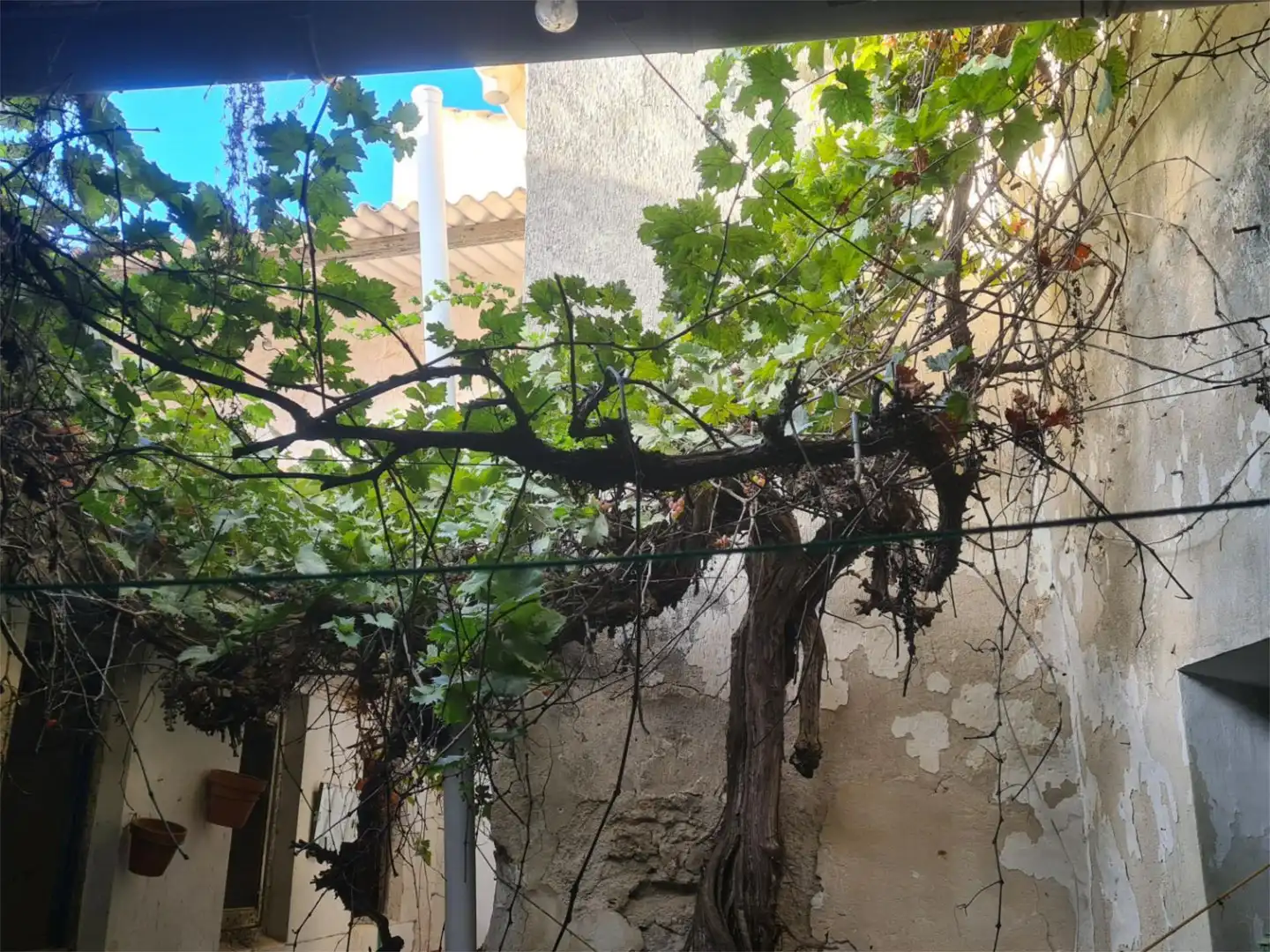 Casa adosada en venda a Calle de Contreras, 15, Chinchón Jardí de Casa adosada en venda en Chinchón amb Terrassa, Traster i Balcó