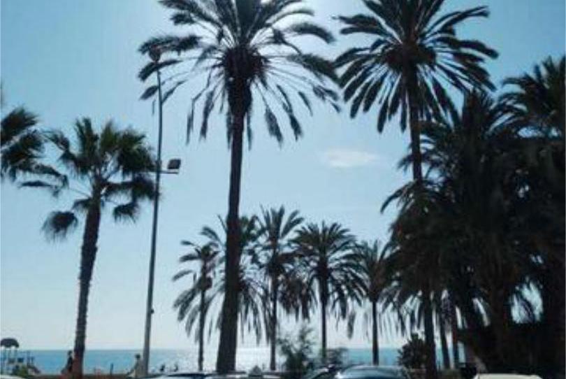 Photo 1 of Premises to rent in La Malagueta - Monte Sancha, Málaga