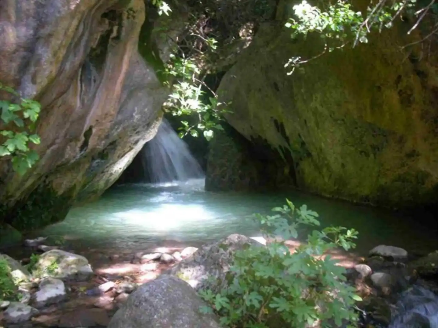 Piscina de Finca rústica en venta en Grazalema con Jardín privado, Terraza y Amueblado