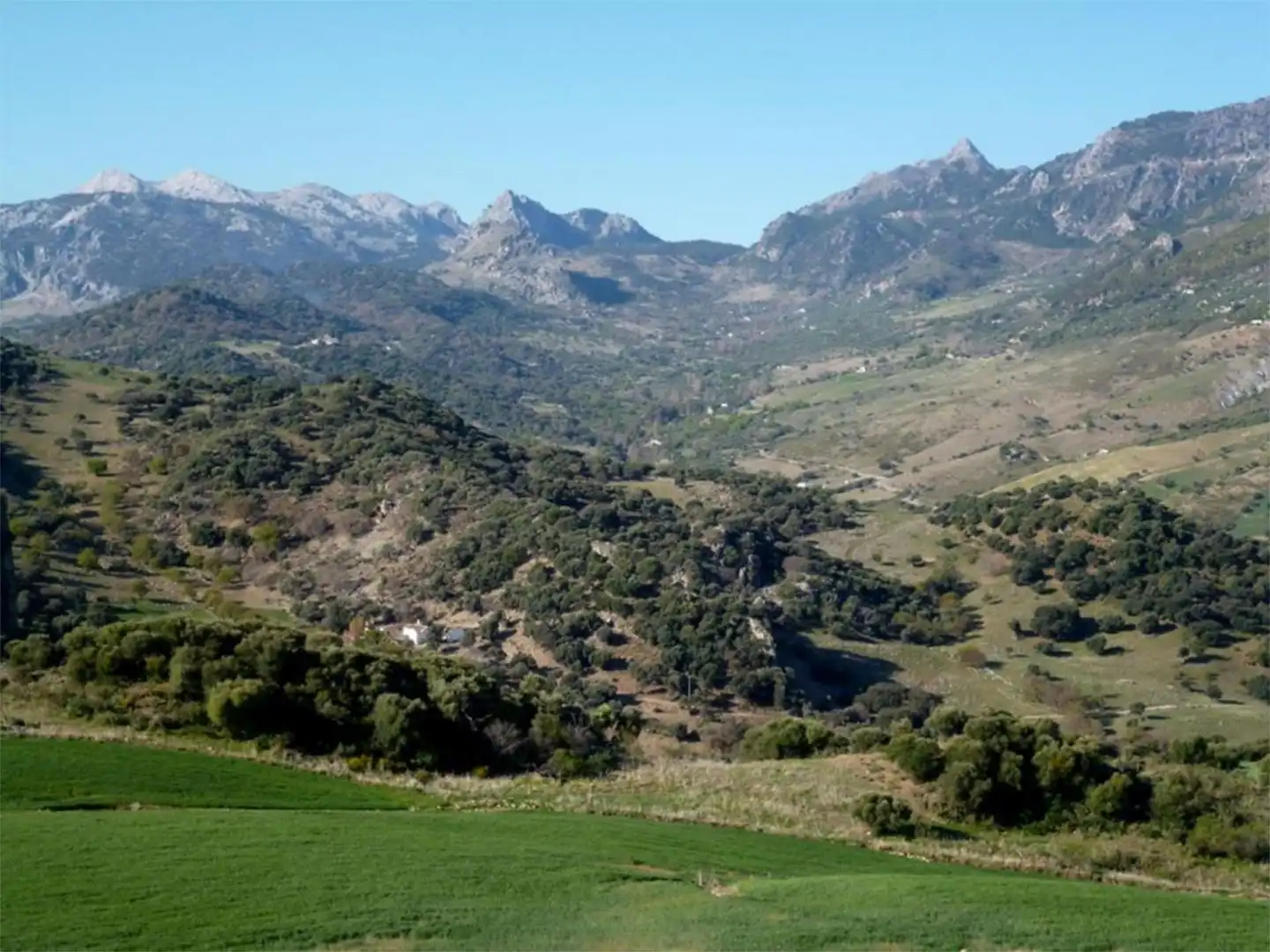 Vista exterior de Finca rústica en venta en Grazalema con Jardín privado, Terraza y Amueblado