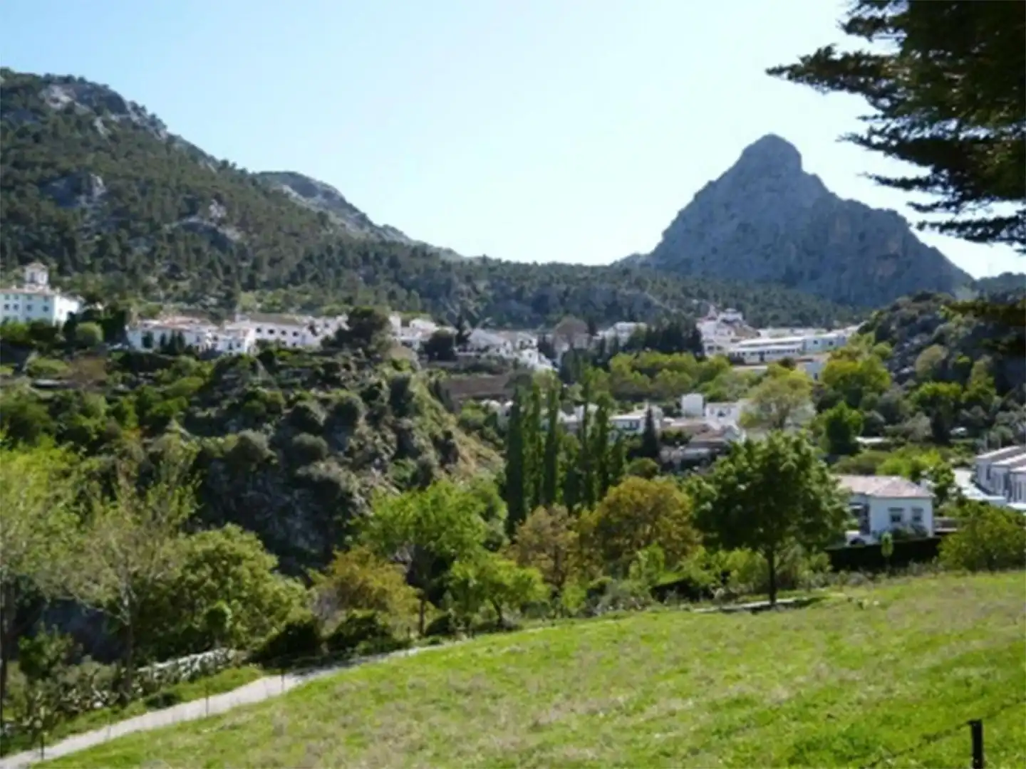 Vista exterior de Finca rústica en venta en Grazalema con Jardín privado, Terraza y Amueblado