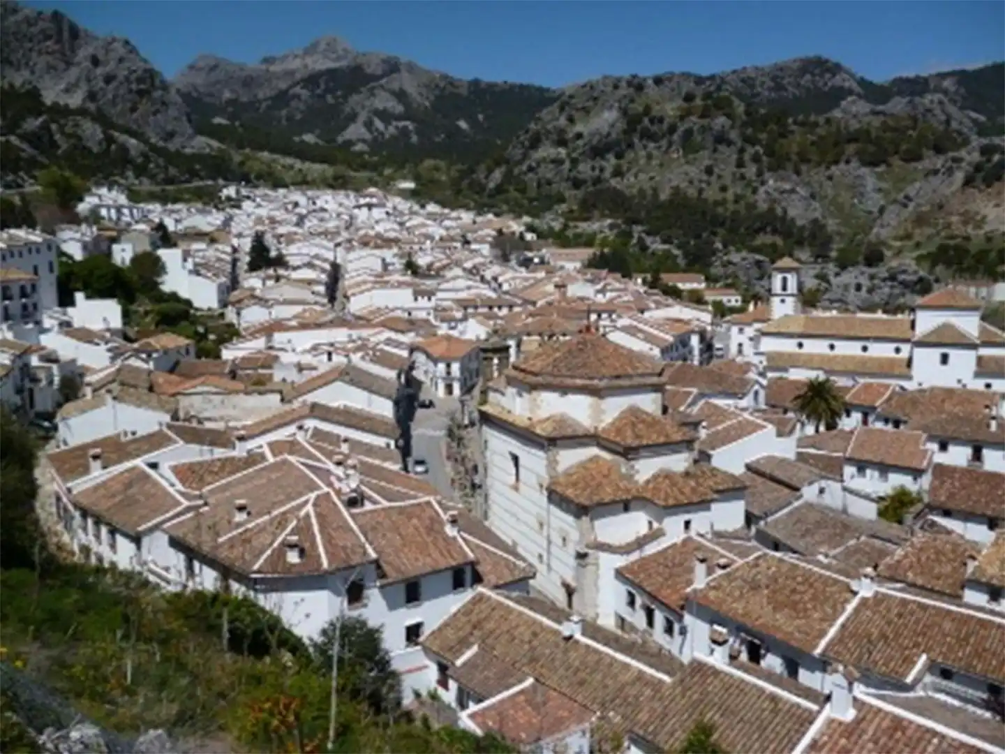 Vista exterior de Finca rústica en venta en Grazalema con Jardín privado, Terraza y Amueblado