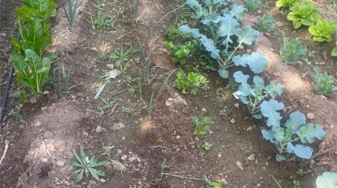 Apartment to rent in Calle Cañada de Los Priscos, 25, La Zubia Ciudad, Granada - image 2 Photo 2 of Apartment to rent in Calle Cañada de Los Priscos, 25, La Zubia Ciudad, Granada