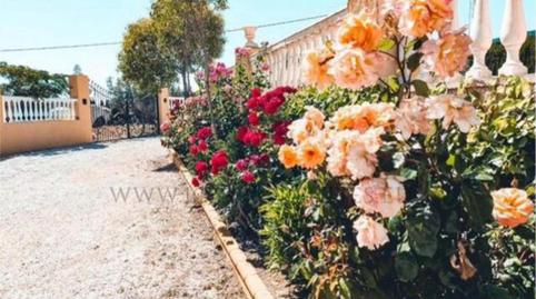 Photo 4 of Single-family semi-detached for sale in Baza, Granada