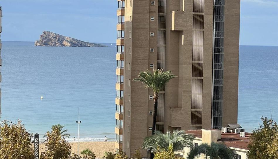 Flat to rent in Avenida de Mallorca, 4, Playa Levante, Alicante - image 1 Photo 1 of Flat to rent in Avenida de Mallorca, 4, Playa Levante, Alicante