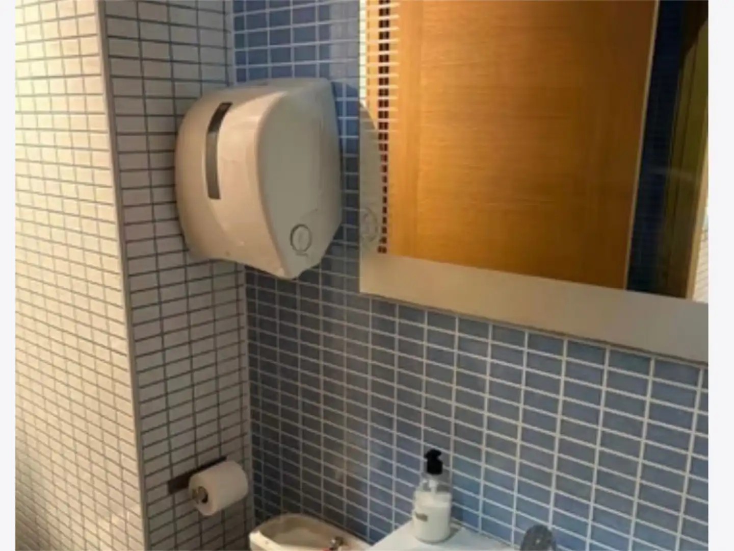 Bathroom of Commercial properties for rent in El Astillero    with Heating and Furnished