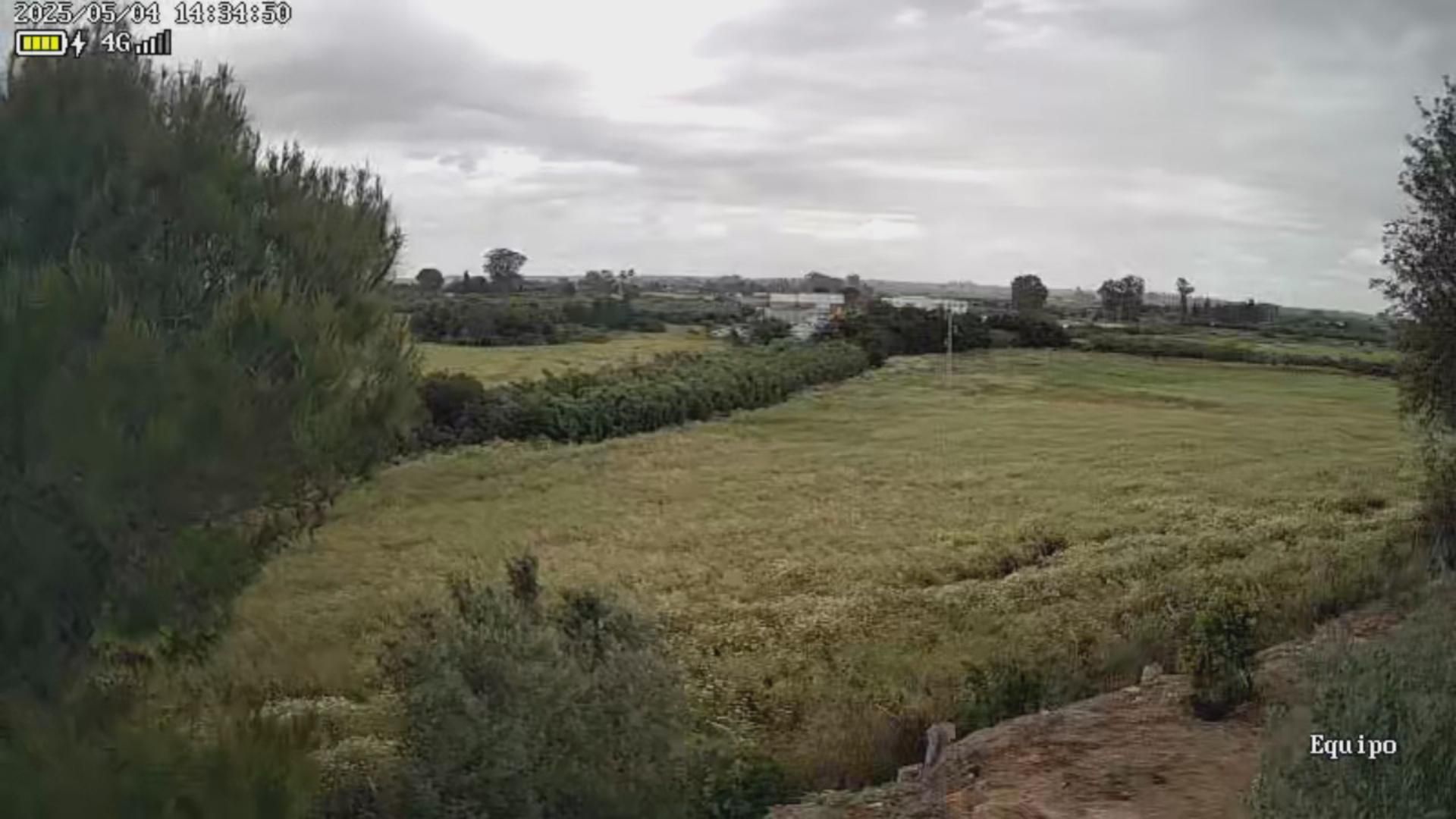 Finca rústica de lloguer en Carmona amb Aire condicionat, Calefacció i Jardí privat