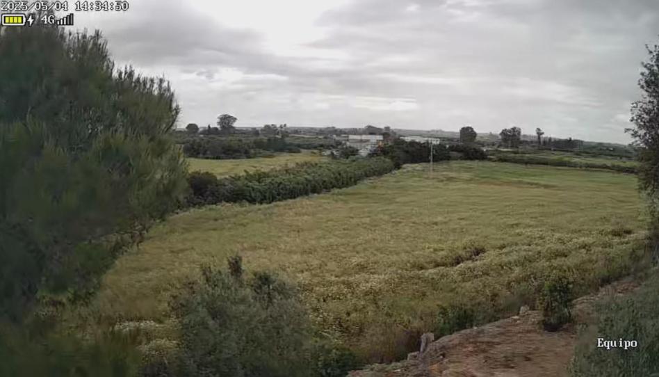 Photo 1 of Country house to rent in Diseminado Diseminados 2, 357, Carmona, Sevilla