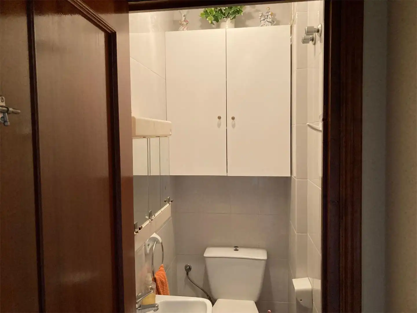 Bathroom of Flat for sale in Caniles  with Furnished and Balcony