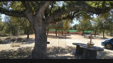 Foto 5 de Casa o xalet en venda a Paseo de Los Sauces, 18, Maello, Ávila