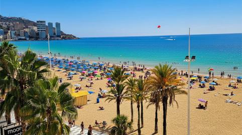 Foto 5 de Pis de lloguer a Avinguda Alcoi, 6, Playa Levante, Alicante