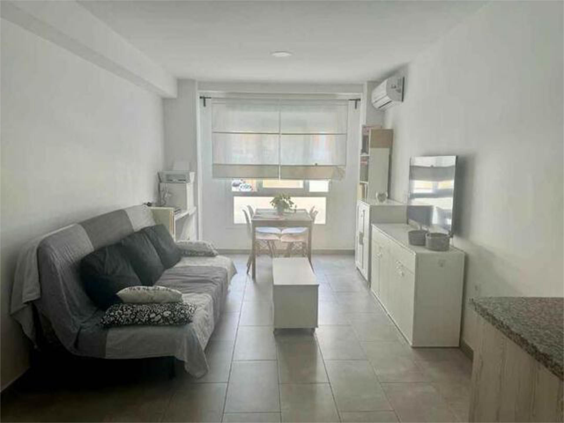 Living room of Flat to rent in Málaga Capital  with Heating, Furnished and Pets allowed