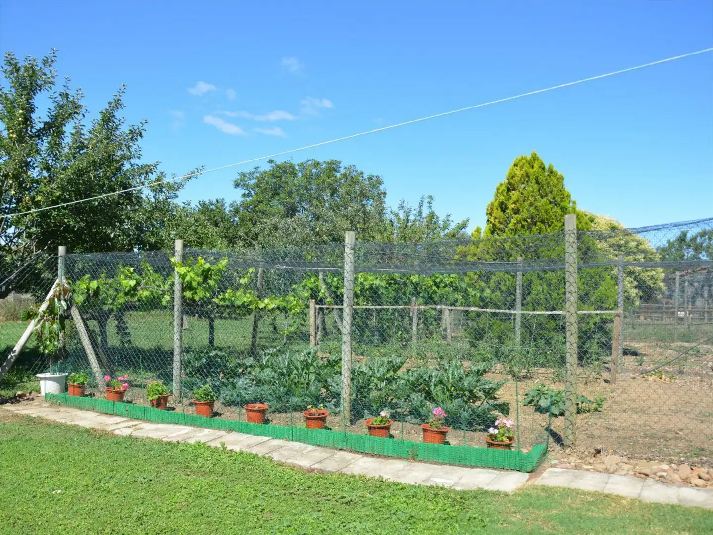 Casa o xalet en venda a Calle Carretera, 16, Valdepolo Jardí de Casa o xalet en venda en Valdepolo amb Balcó