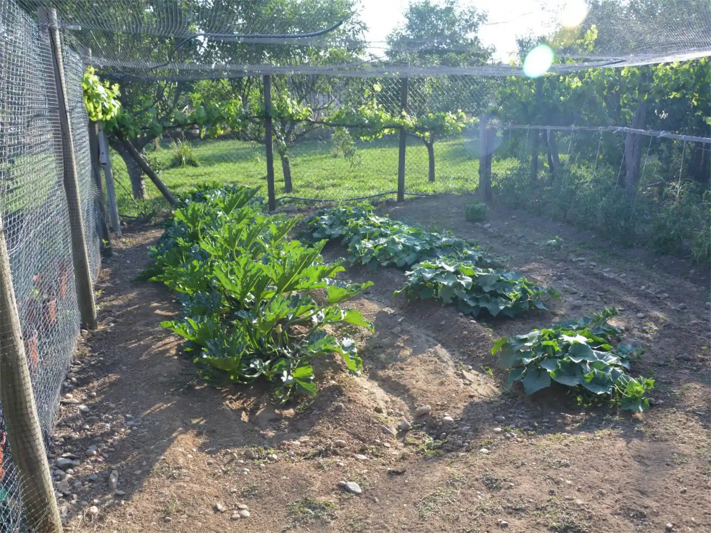 Casa o xalet en venda a Calle Carretera, 16, Valdepolo Jardí de Casa o xalet en venda en Valdepolo amb Balcó