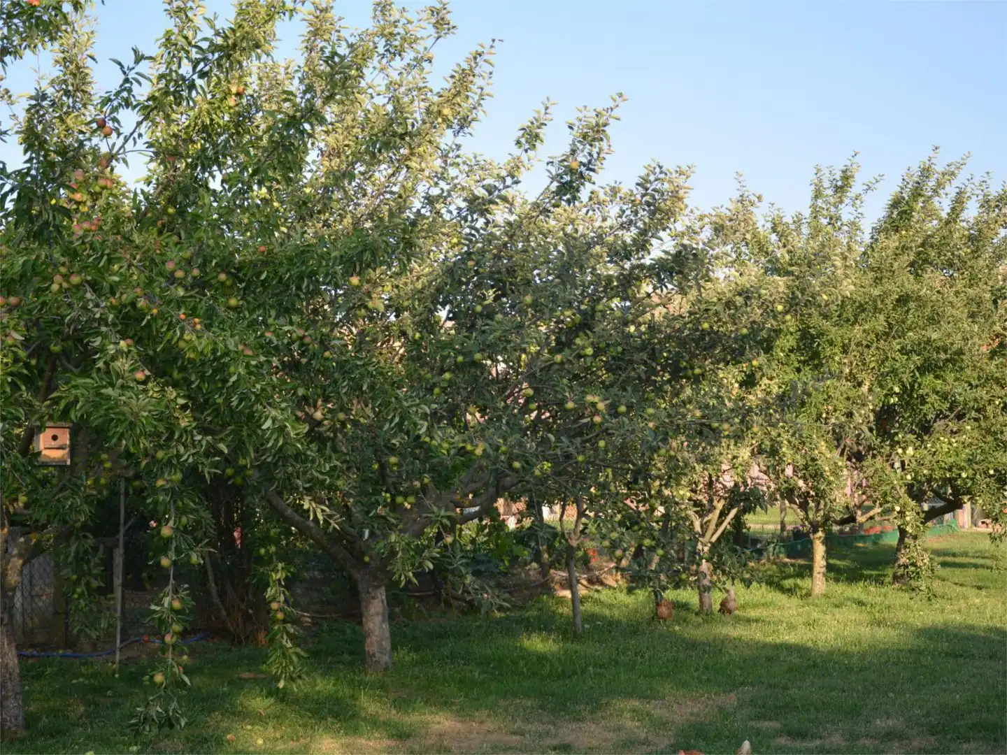 Casa o xalet en venda a Calle Carretera, 16, Valdepolo Jardí de Casa o xalet en venda en Valdepolo amb Balcó