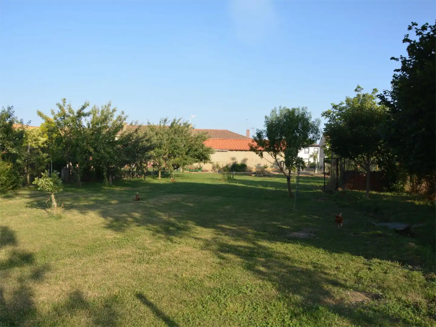 Casa o xalet en venda a Calle Carretera, 16, Valdepolo Jardí de Casa o xalet en venda en Valdepolo amb Balcó
