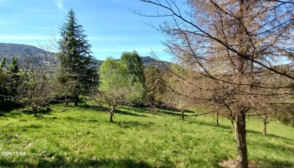 Terreno en venta en Camino de la Iglesia a Tarna, 327, Baldornon, Asturias - imagen 1 Foto 1 de Terreno en venta en Camino de la Iglesia a Tarna, 327, Baldornon, Asturias