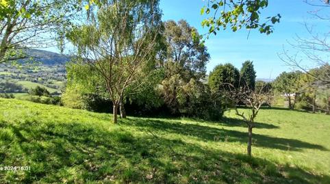 Terreno en venta en Camino de la Iglesia a Tarna, 327, Baldornon, Asturias - imagen 5 Foto 5 de Terreno en venta en Camino de la Iglesia a Tarna, 327, Baldornon, Asturias
